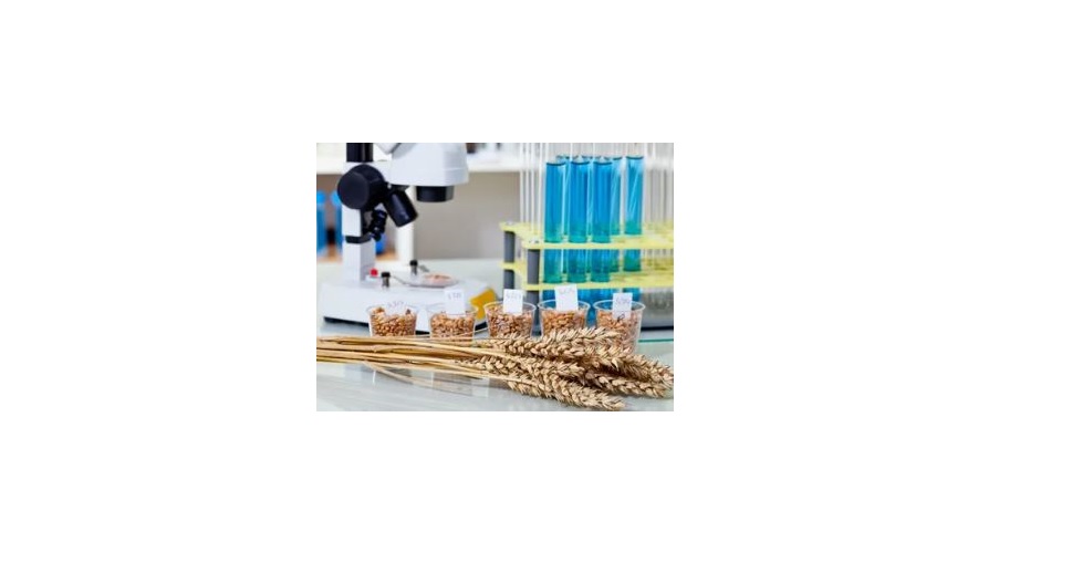 Анализ семян